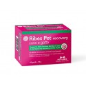 Nbf Lanes Ribes Pet Pearls para perros y gatos