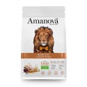 Amanova Adult Cat avec poulet pour chats