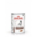 Royal Canin Gastrointestinal húmedo para perros