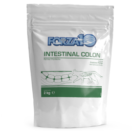 Forza10 Intestinal Colon for Cats