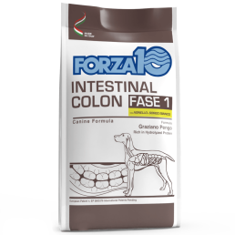 Forza10 Intestinal Colon Fase 1 Agnello e...