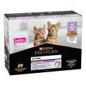 Pro Plan Kitten Kitten Kitten Food for Kittens