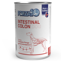 Forza10 Intestinal Colon Cibo Umido per Cani