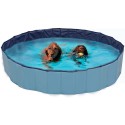 Explorer Dog Pool