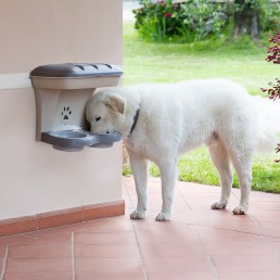 Food Stand Ciotole da Parete per Cani