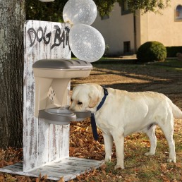 Food Stand Ciotole da Parete per Cani