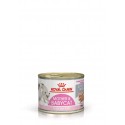 Royal Canin Babycat Instinctive Cibo Umido per Gattini