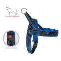 Harnais pour chien Dynamic Bleu