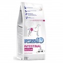 Forza10 Intestinal Active pour chiens