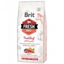 Brit Fresh Puppy Large Rindfleisch mit Kürbis für Welpen