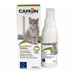 Catnip Spray Concentrato