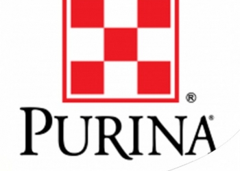 PROGRAMMA 7 VITE: TUTTO SULL'INIZIATIVA DI PURINA PRO PLAN