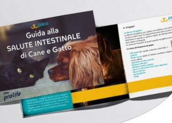 GUIDA ALLA SALUTE INTESTINALE DI CANE E GATTO: SINTOMI, CAUSE E RIMEDI