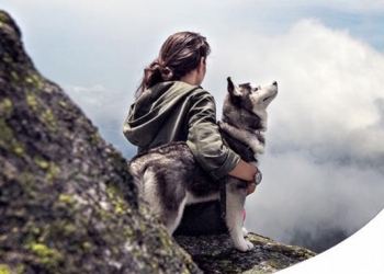 CANE IN MONTAGNA: COSA É PERMESSO, COSA NO, E COSA NON PUÒ MANCARE!